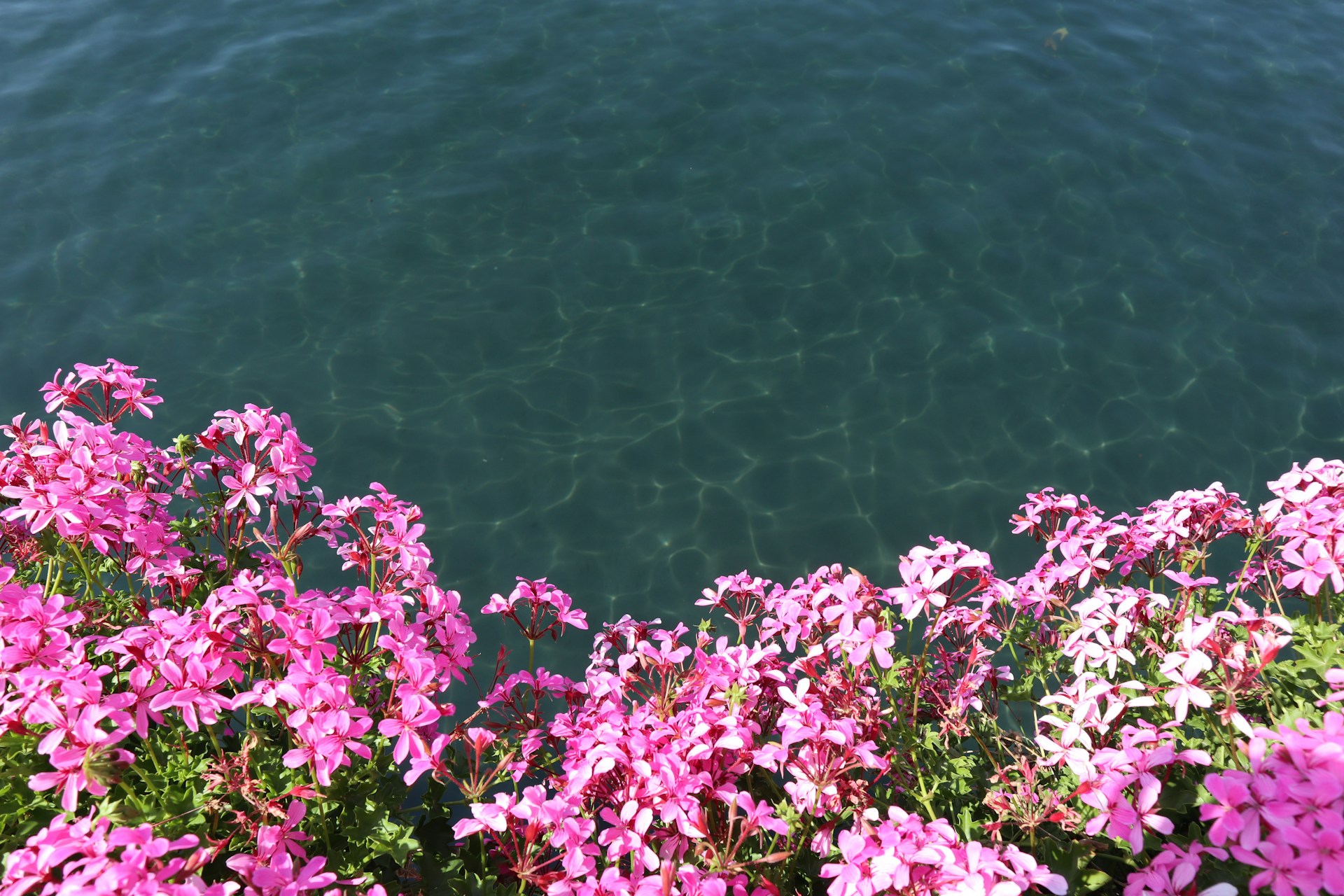 Ventsolrenia retraite en France